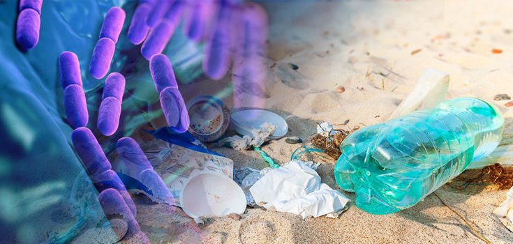 Huge Discovery: Bacterium that “Eats” Plastic Waste
