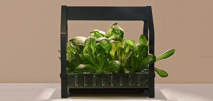 IKEA Brings Hydroponic Gardening to Your Kitchen