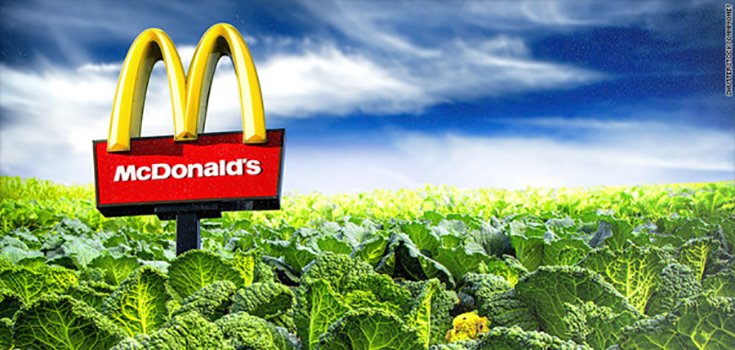 McDonald’s Kale Salad Surpasses Big Mac in Calorie, Fat Count