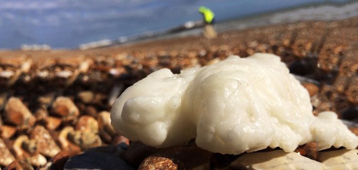 Pics: Giant Globs Of Palm Oil Wash up on UK Beaches, Sickening Dogs