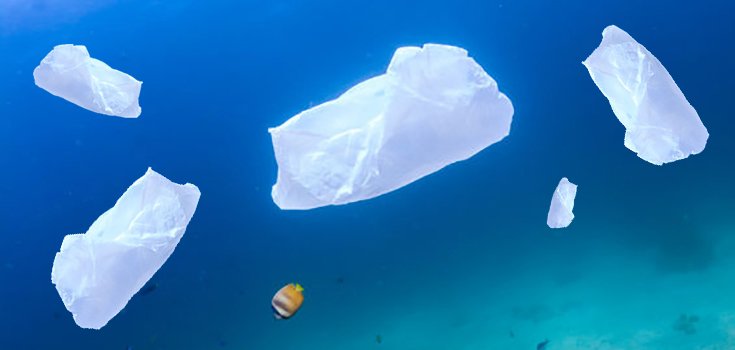 plastic bag polluting ocean