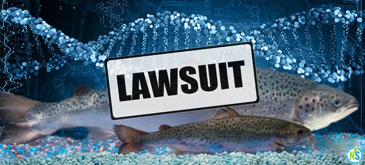 Groups File Lawsuit to Block FDA’s Approval of GM Salmon