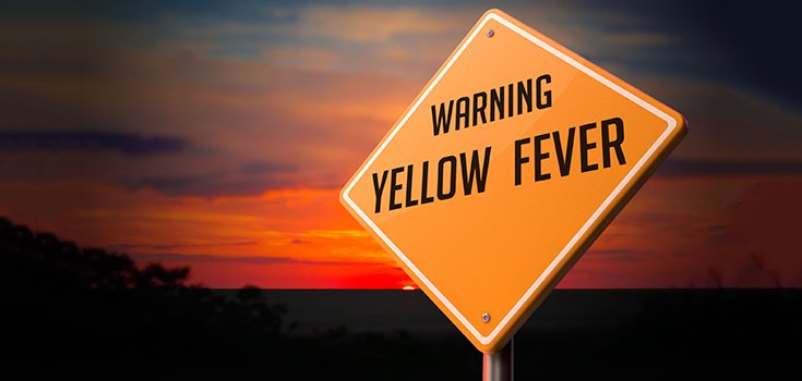 WHO Warns of Yellow Fever Outbreak Being a ‘Potential Threat to Entire World’