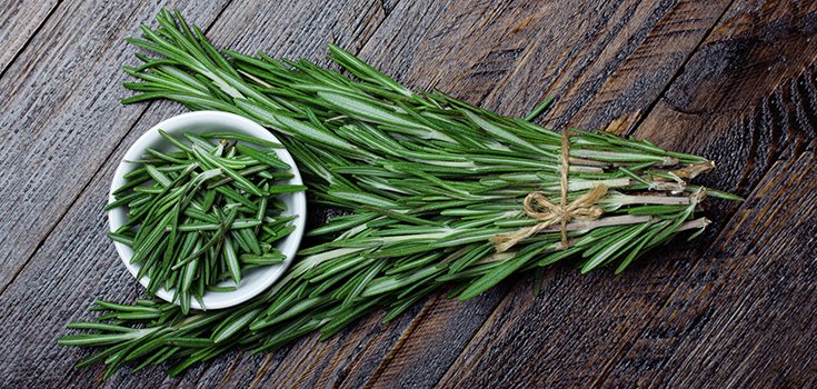 Study: Rosemary Oil Could Help Improve Your Memory