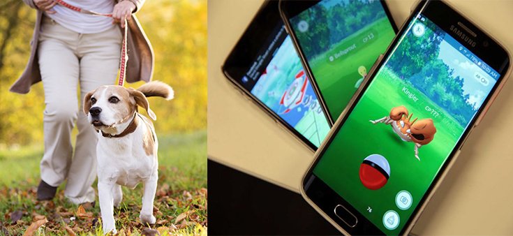 Animal Shelter Uses Pokemon Go Craze for Walking Dogs