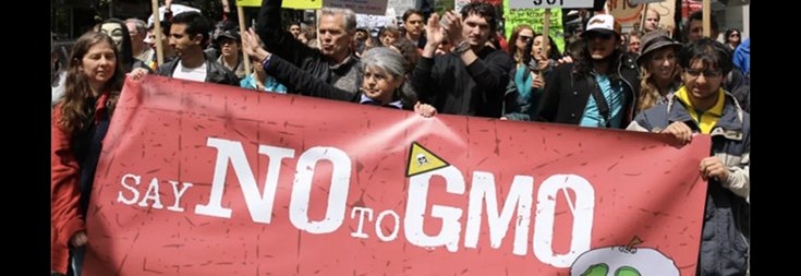 Regulatory Loophole Allows GMO Products to be Marketed as Non-GMO