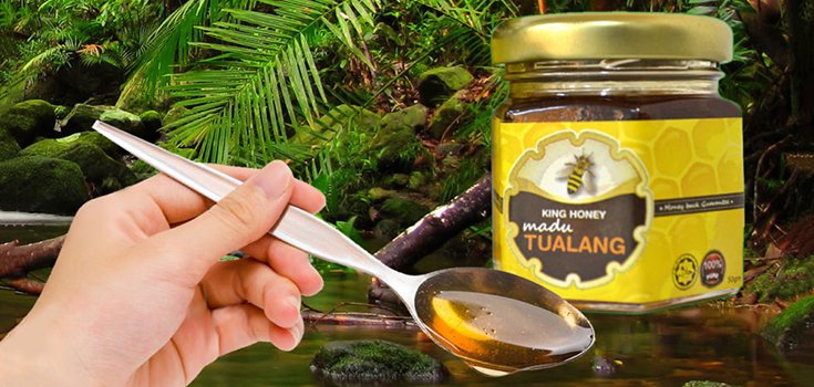 The Healing Power of Tualang Honey