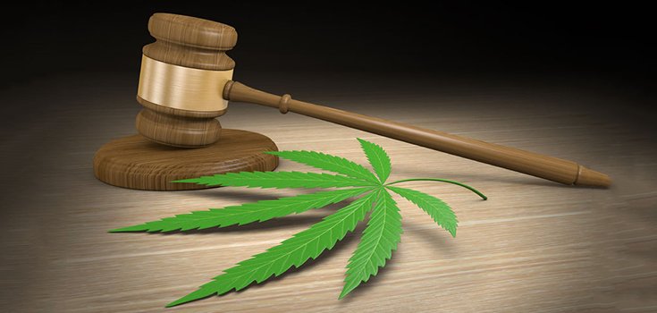 marijuana law