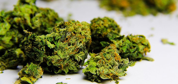 Marijuana Opponents Ditch Battle over Potency of THC (Psychoactive) Compound