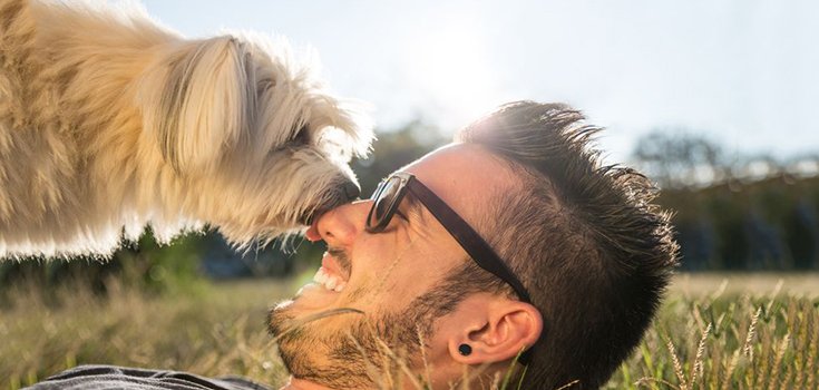 Study: Your Dog LOVES You and Prefers Praise over Food