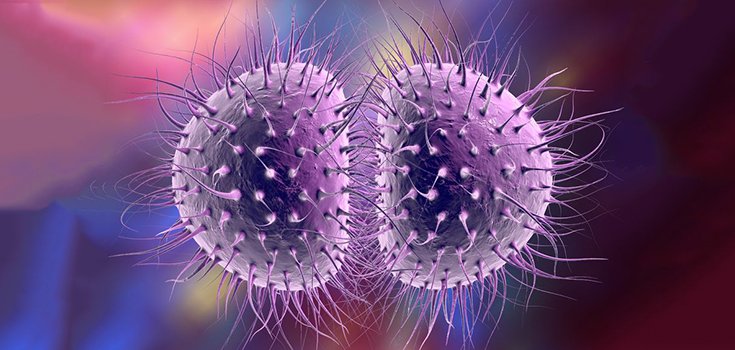 Drug Resistant Gonorrhea Has Made its Way to Hawaii