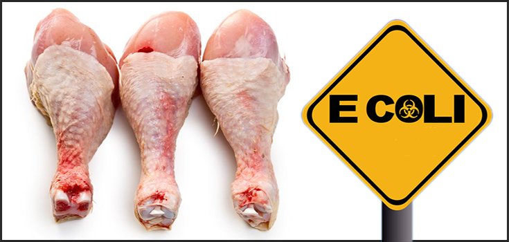 Study: 1/4 Chicken Samples in UK Supermarkets Contain Antibiotic Resistant E. coli