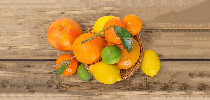 Citrus Fruits, Antioxidants Help Stop Obesity-Related Chronic Diseases, Study Says