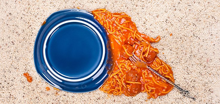 How True is the ‘5 Second Rule’ When You Drop Food on the Floor?