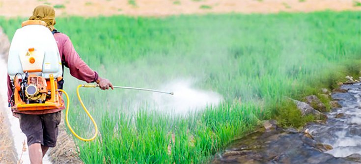 Even Legal Levels of Glyphosate Herbicide may Harm Freshwater Ecosystems