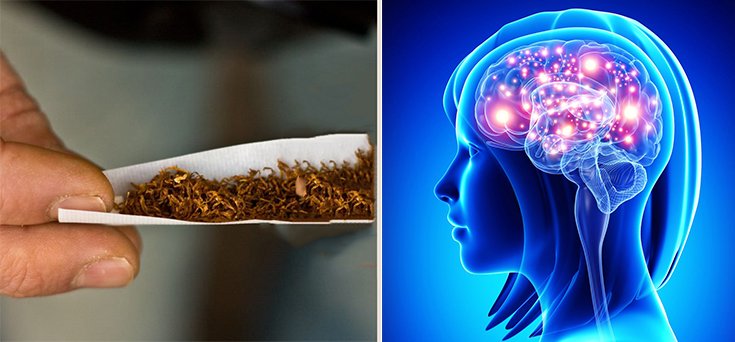 nicotine and the brain