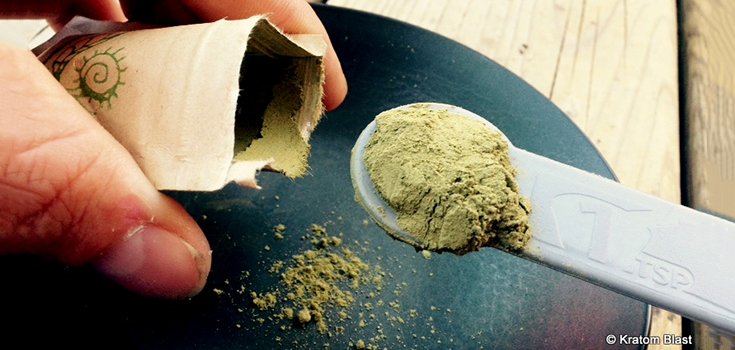 DEA Decides NOT to Ban Kratom … For Now