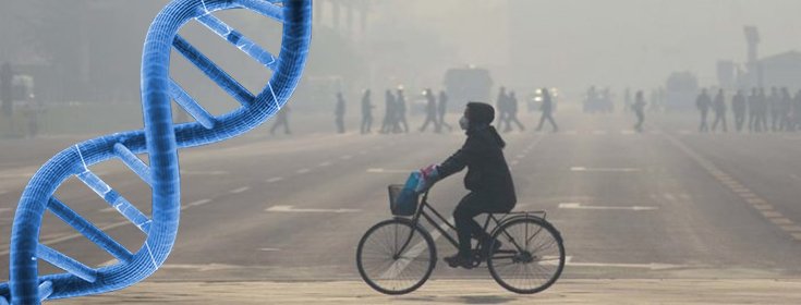 Genes for Antibiotic-Resistant Bacteria Are Found in Beijing Smog