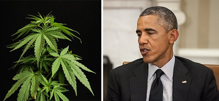 Obama on Marijuana Legalization: Presidents Don’t Change Drug Classifications