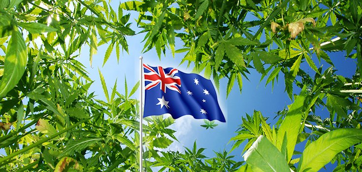 Australians Finally Close to Obtaining Access to Legal Cannabis