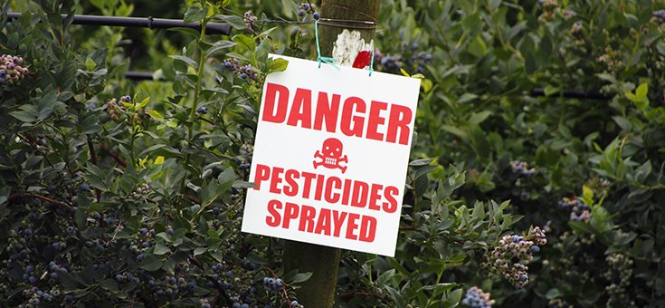 EPA Official Accused of Helping Monsanto ‘Kill’ Glyphosate-Cancer Link