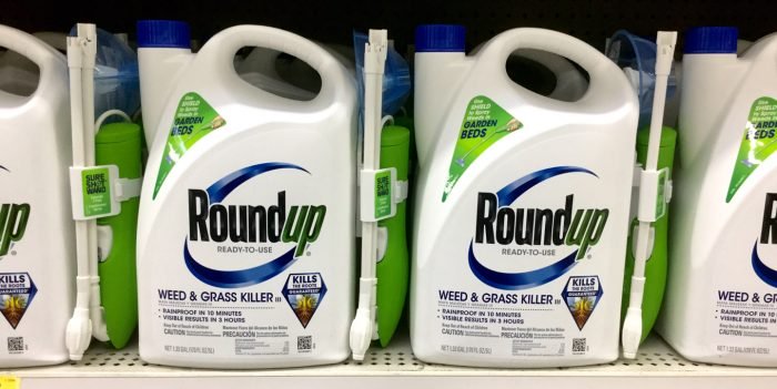 ‘Extreme Levels’ of Monsanto’s Roundup Found in GMO Food, Norwegian Study Shows