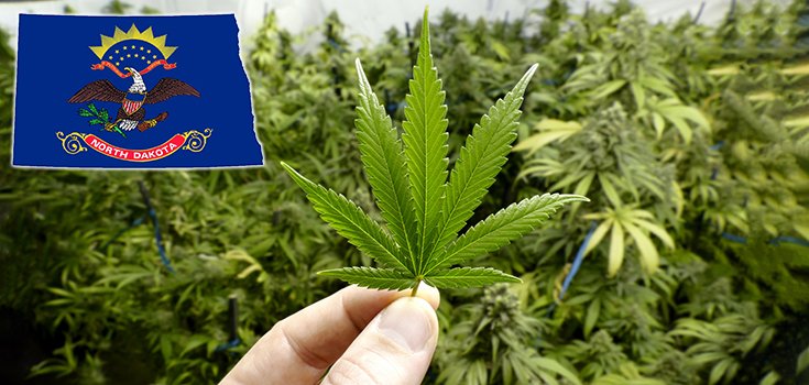 Medical Marijuana Gets the Green Light in North Dakota