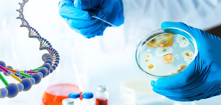 Scientists Call GMO Antibiotics ‘Better Science’ Solution to Superbugs