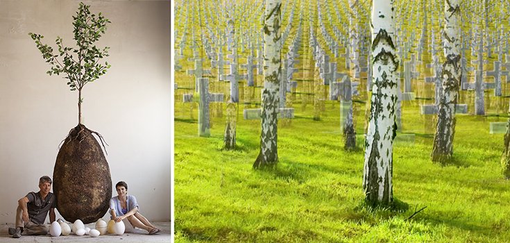 Italian Designers Bank on Future Cemeteries Filled with Trees, not Coffins