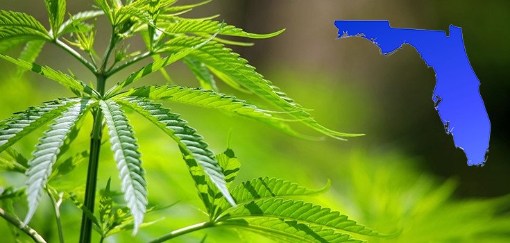 Gov. Scott’s Signature Makes Medical Marijuana Officially Legal in Florida