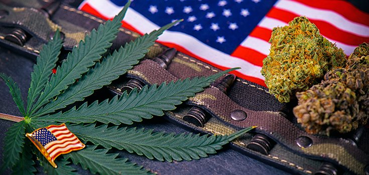 VA Head Comes out in Support of Marijuana for Vets with PTSD