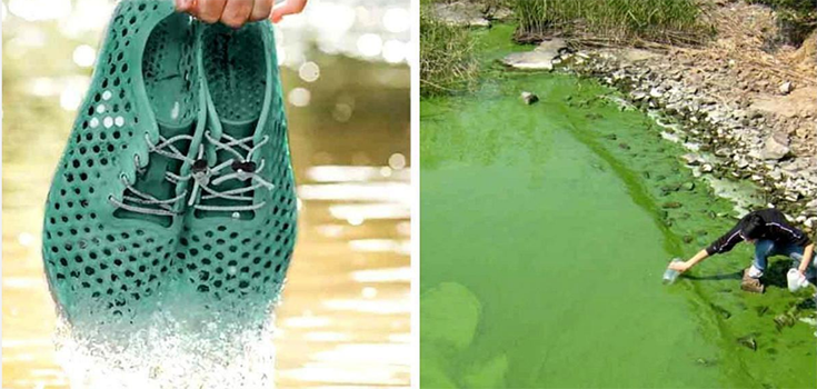 These Shoes are Made of Algae, and They Help Clean This Lake in China