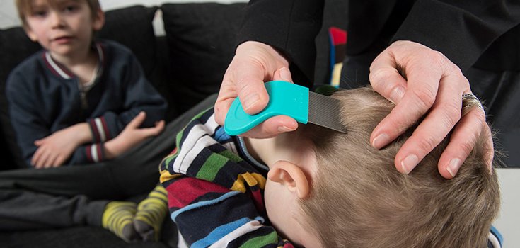 More Kids Are Getting Head Lice … Because of Smartphones?