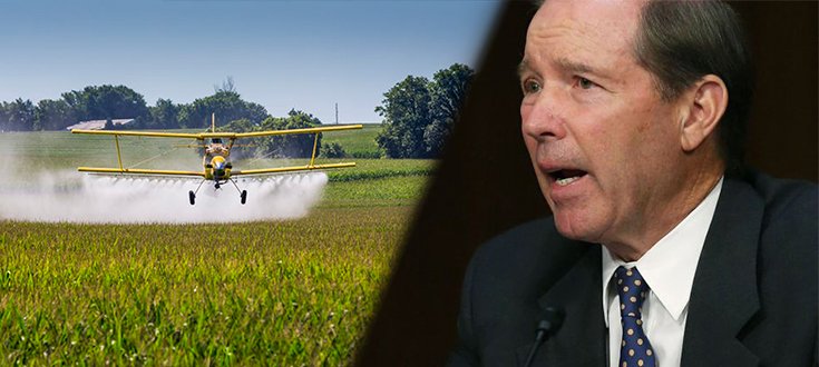 Group of Senators Push for Ban of the Toxic Pesticide Chlorpyrifos