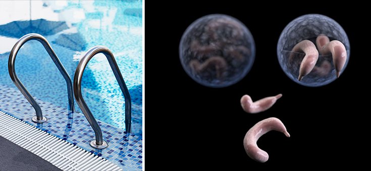 Diarrhea-Inducing Parasite in Public Pools: How to Protect Yourself