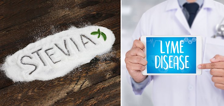 Could This Popular All-Natural Sweetener Beat Lyme Disease?