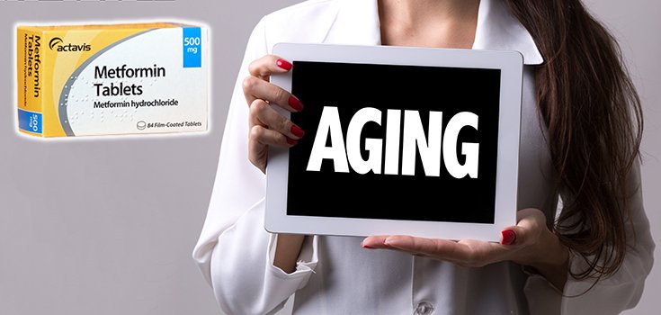 Is Metformin a Viable Anti-Aging Solution?