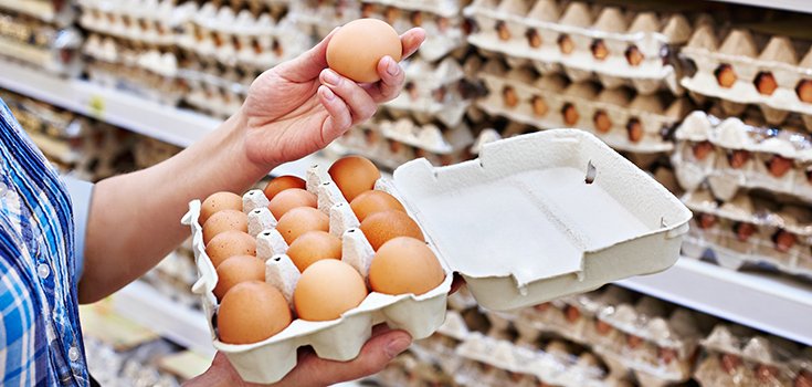 Investigation Brews over Insecticide-Tainted Eggs Distributed Throughout U.K.