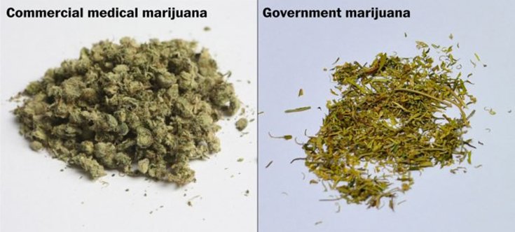 The Trouble with Studying Government-Provided Marijuana