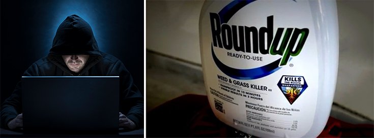 Monsanto Emails Raise More Questions About EPA Collusion and Roundup Safety