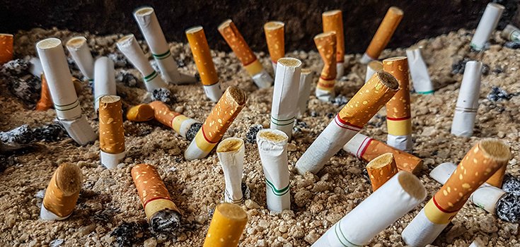 Tobacco Doesn’t Just Kill Smokers; It Kills the Environment