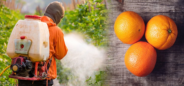 Advocacy Group Finds Glyphosate in 100% of Top-Selling Orange Juice