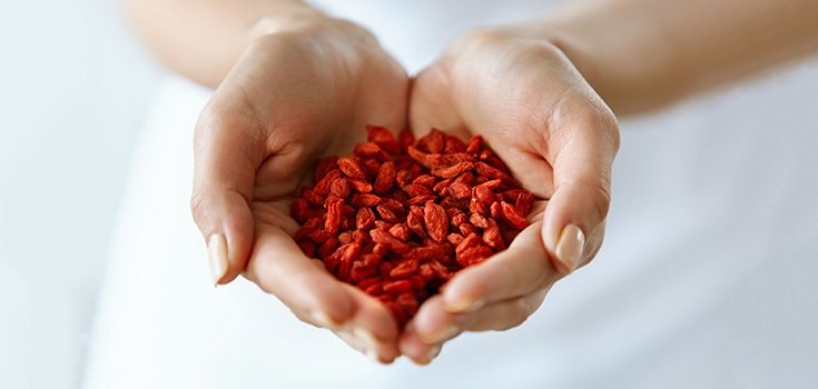 Goji Berry Compound Could Treat 2 Deadly Tropical Diseases
