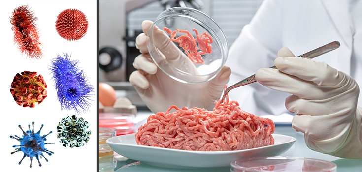 Study: Most Supermarket Meats Contain Antibiotic-Resistant Superbugs