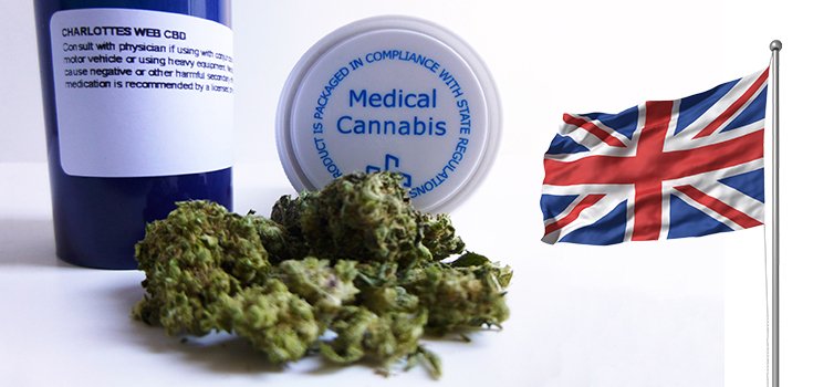 Medical Cannabis to be Legalized in the United Kingdom