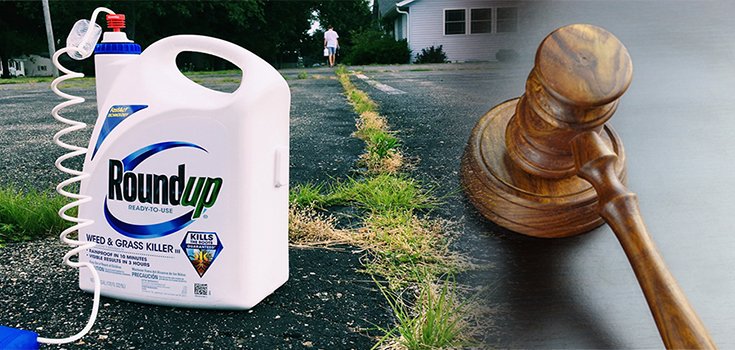 Jury Orders Monsanto to Pay $289 Million in World’s 1st Roundup Trial