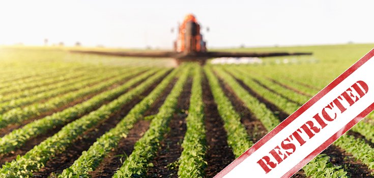 Major Seed Companies Call for Limits on Monsanto Weedkiller ‘Dicamba’