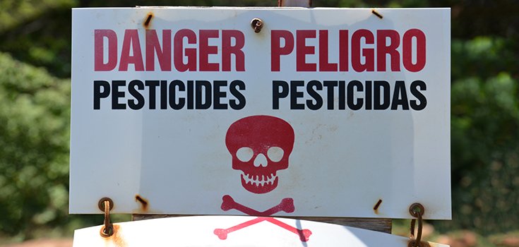 Judge Orders EPA to Ban Pesticide Linked to Brain Damage in Children