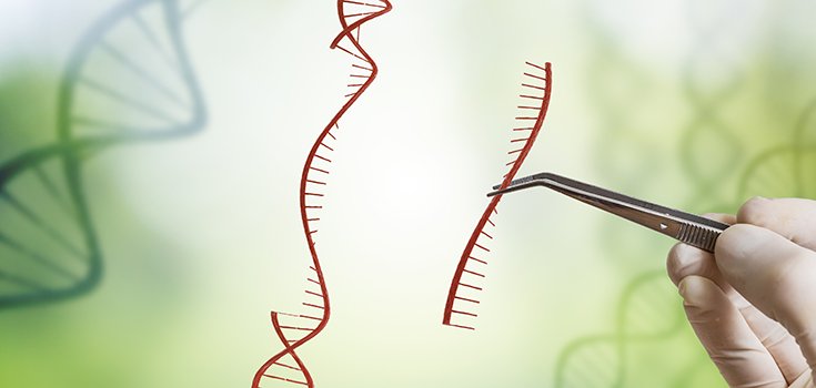 CRISPR Gene-Editing Tool Linked to Increased Cancer Risk in Studies