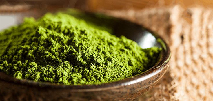 Matcha Tea Eliminates Cancer Cells by Stopping them from Refueling